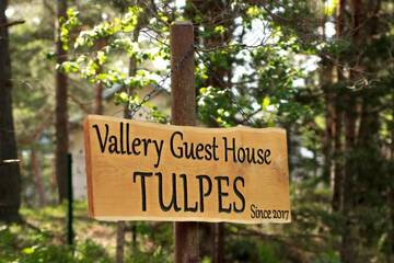 Фотографии Гостевой дом Vallery Guest House г. Бигауньциемс (Латвия) №3 Фото Гостевой дом Vallery Guest House г. Бигауньциемс 3